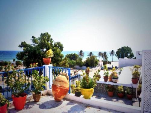 This photo about Dar Biba shared on HyHotel.com