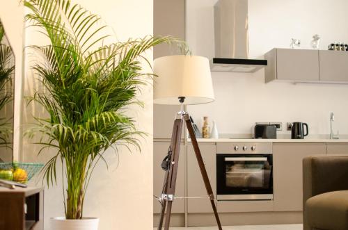 Kitchen, Terlon Apartments in Liverpool Kitchen, Terlon Apartments in Liverpool