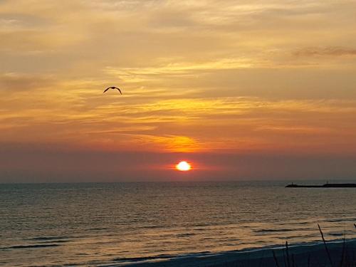 Surf And Family Sauna And Spa in Hvide Sande Surf And Family Sauna And Spa in Hvide Sande