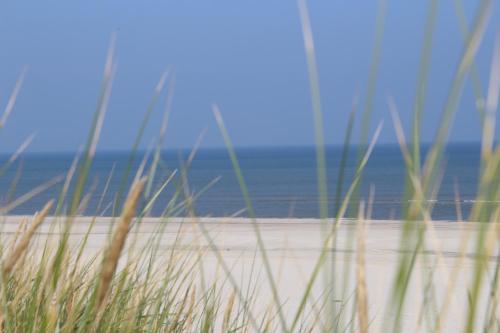 plaža, Dünenglück (Dunengluck) in Ameland plaža, Dünenglück (Dunengluck) in Ameland