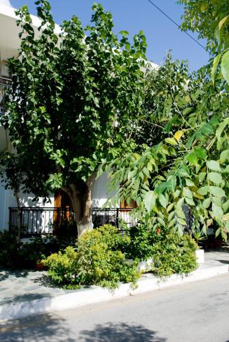 Oasis Studios in Crete Island Oasis Studios in Crete Island