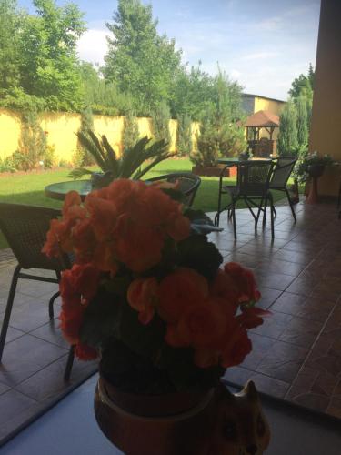 This photo about Villa Fenix shared on HyHotel.com