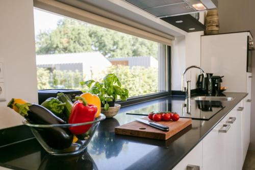 кухня, Suitelodges Gooilanden in Лусдрехт кухня, Suitelodges Gooilanden in Лусдрехт