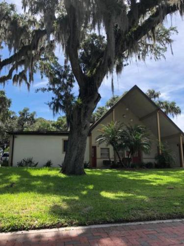 在meiguo.com看到的Crystal Manatee的介绍图片