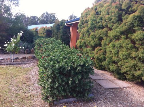 This photo about Pemberley Grange shared on HyHotel.com