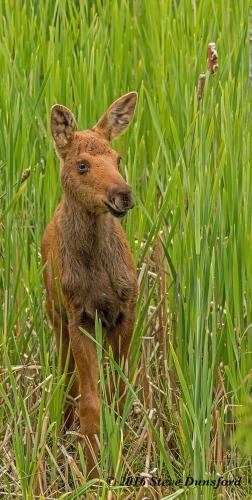 This photo about The Mad Musher - Hostel shared on HyHotel.com