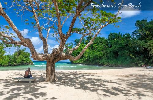ชายหาด, Moon San Villa at the Blue Lagoon in พอร์ตอันโตนิโอ ชายหาด, Moon San Villa at the Blue Lagoon in พอร์ตอันโตนิโอ