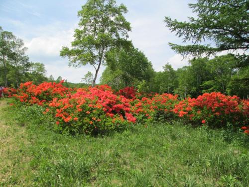 This photo about Pension Rapan shared on HyHotel.com