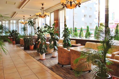 Hotel New Yokosuka (Hotel New Yokosuka) near โยโกฮาม่า ฮักเกจิมะ Hotel New Yokosuka (Hotel New Yokosuka) near โยโกฮาม่า ฮักเกจิมะ