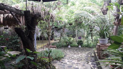 Garden, Homestay Lan Rung in Nghia Lo Garden, Homestay Lan Rung in Nghia Lo