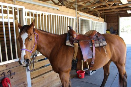 在meiguo.com看到的Rock Pointe Ranch的介绍图片