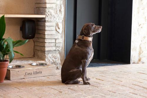 This photo about Hotel Casa Albets shared on HyHotel.com
