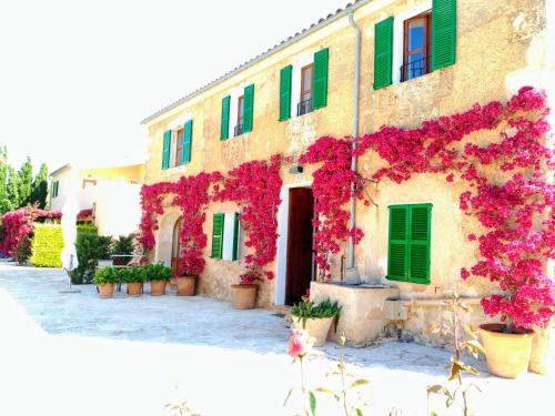 Hotel son capellot