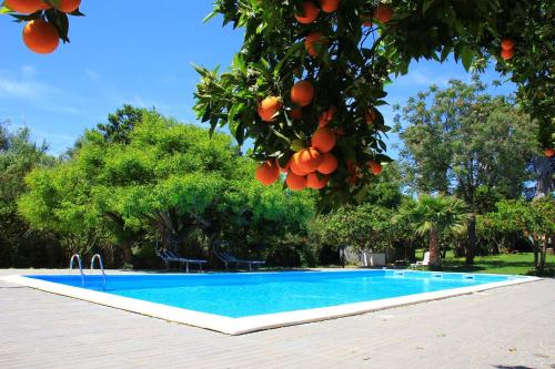 Swimming pool, Terre del Cardinale Country Suites in Pedara Swimming pool, Terre del Cardinale Country Suites in Pedara