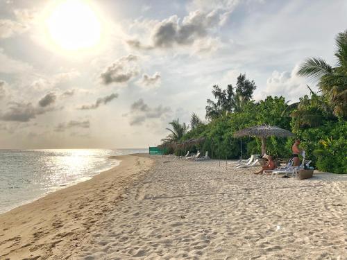 Beach, WOW Retreat in Faafu Atoll Beach, WOW Retreat in Faafu Atoll