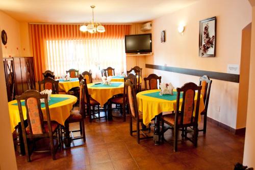 Restaurant, Pensiunea Vlad in Timișoara Restaurant, Pensiunea Vlad in Timișoara