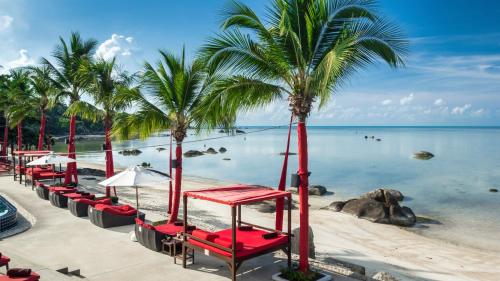 ビーチ リパブリック ホテル19