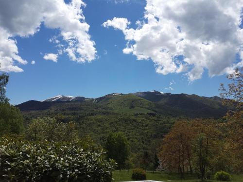 This photo about Hotel Rondanino shared on HyHotel.com