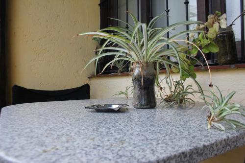 This photo about La Casita de Salta shared on HyHotel.com