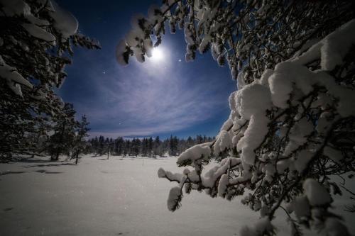 Surrounding environment, Northern Lights Village in Inari Surrounding environment, Northern Lights Village in Inari