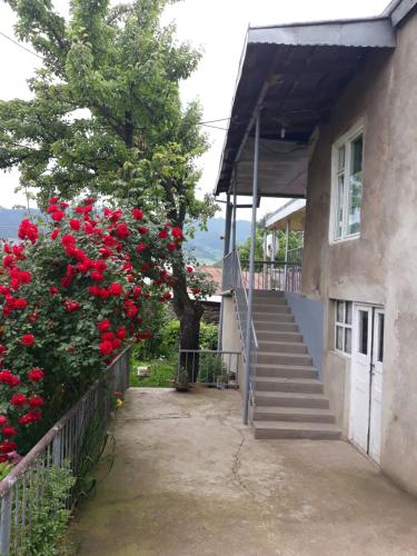 阳台/露台, Aida Bed & Breakfast in 塔特夫 阳台/露台, Aida Bed & Breakfast in 塔特夫