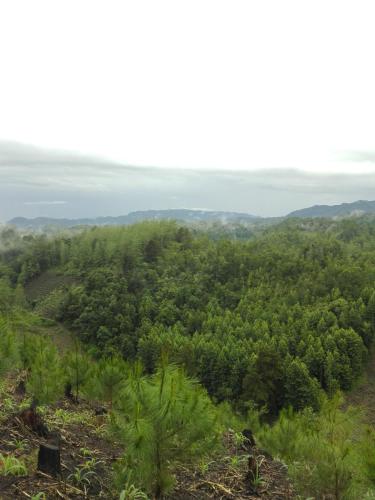 Paraiso Verde in Coban Paraiso Verde in Coban
