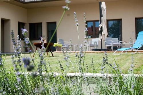 ระเบียง/ชานเรือน, Sabines Apartments Ferienwohnungen in เฟราเอนคริเช่น ระเบียง/ชานเรือน, Sabines Apartments Ferienwohnungen in เฟราเอนคริเช่น
