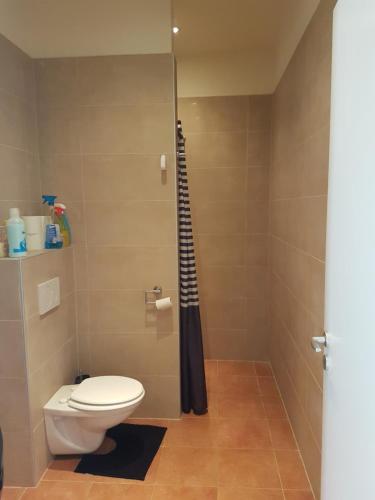 ARTEMIS FARM Apartment4 in Bad Blumau ARTEMIS FARM Apartment4 in Bad Blumau