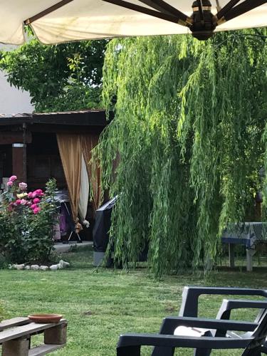 حديقة, Casa Gavenniae in Nocciano حديقة, Casa Gavenniae in Nocciano