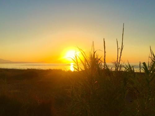 This photo about Villa Star shared on HyHotel.com