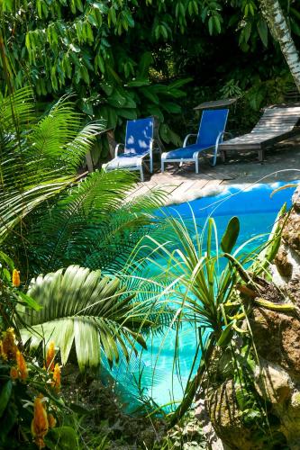 Swimming pool, Omega Tours Eco-Jungle Lodge in La Ceiba Swimming pool, Omega Tours Eco-Jungle Lodge in La Ceiba
