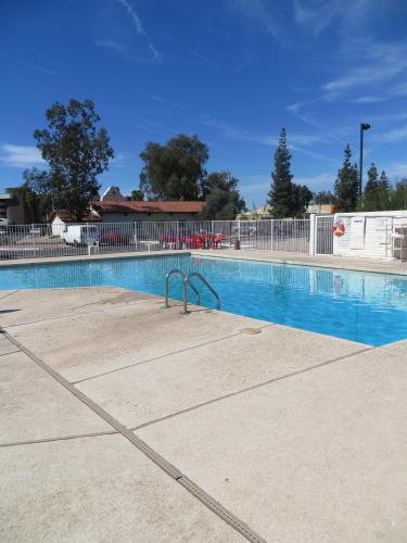 泳池, 普瑞米爾酒店-地鐵中心 (Premier Inns Metrocenter) in 菲尼克斯 (AZ) 泳池, 普瑞米爾酒店-地鐵中心 (Premier Inns Metrocenter) in 菲尼克斯 (AZ)