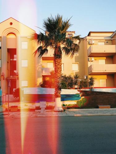 This photo about Aloha Park Hotel shared on HyHotel.com