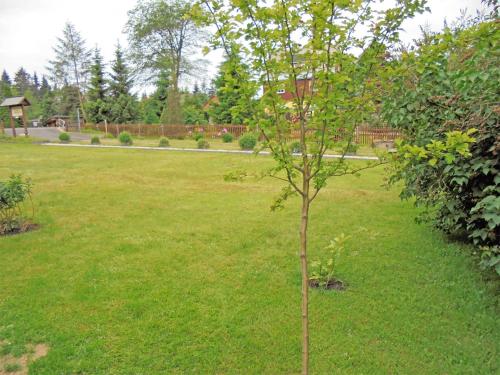 Garden, Ferienwohnung Hermsdorf im Erzgebi in Hermsdorf Garden, Ferienwohnung Hermsdorf im Erzgebi in Hermsdorf