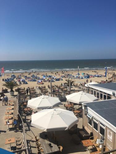 Beach, Excellent Beach Apartments in Zandvoort Beach, Excellent Beach Apartments in Zandvoort