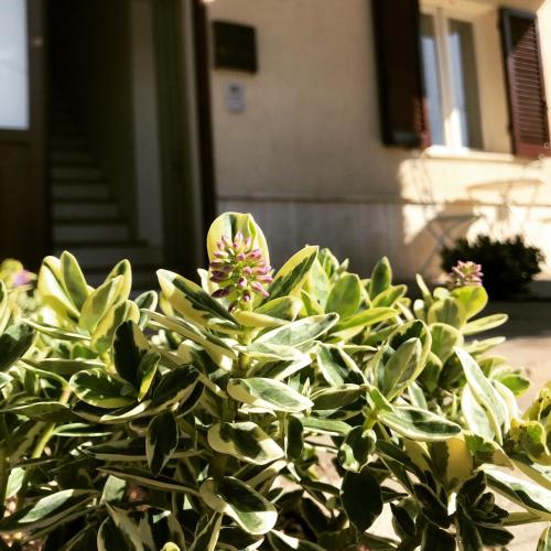 This photo about Le Campane di Assisi shared on HyHotel.com