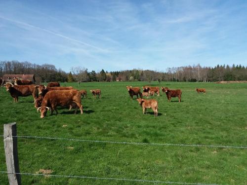 Maison Maton in 拉羅什拉貝耶 Maison Maton in 拉羅什拉貝耶