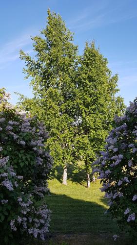 This photo about Sinilille 7 Holiday Home shared on HyHotel.com