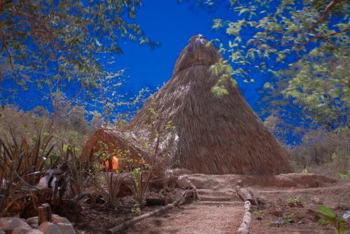 This photo about Surf Camp DreamSea shared on HyHotel.com