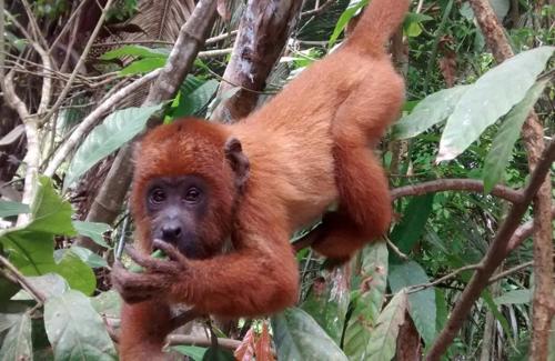 This photo about Villa Hermosa shared on HyHotel.com