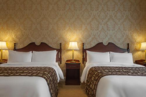 This photo about An Chuirt, Gweedore Court Hotel shared on HyHotel.com