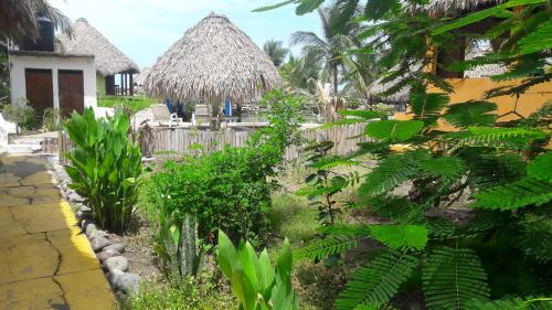 حديقة, Eco-Hotel Playa Quilombo in Monterrico حديقة, Eco-Hotel Playa Quilombo in Monterrico