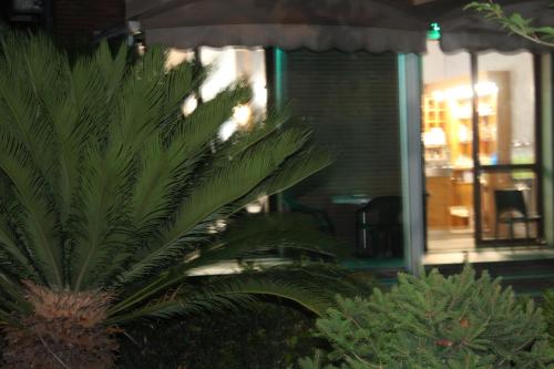Entrance, Hotel Diana in Cassino Entrance, Hotel Diana in Cassino