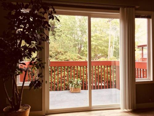 在meiguo.com看到的东区悠游公寓的介绍图片