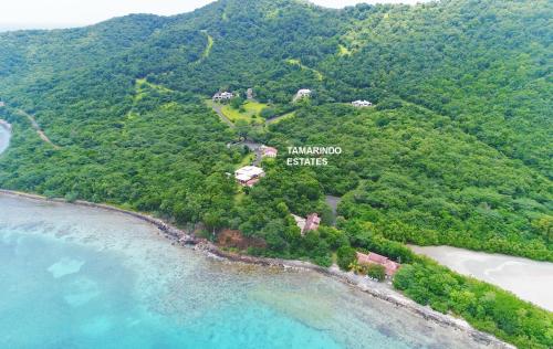 This photo about Tamarindo Estates Beach Apts. shared on HyHotel.com