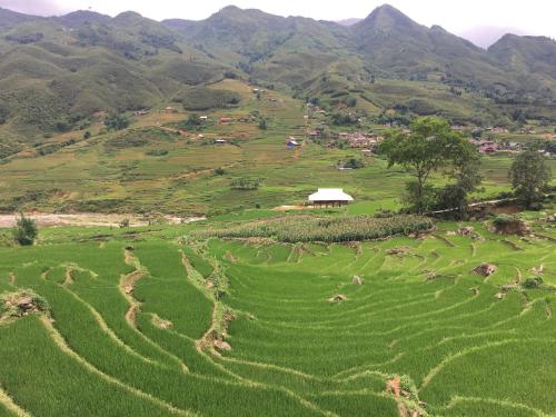 Вид, Hoa's homestay Sapa in Lao Chải Tả Ván Вид, Hoa's homestay Sapa in Lao Chải Tả Ván