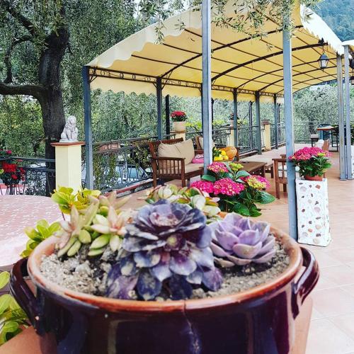 Agriturismo Al Nido Degli Aironi in ซาน เรโม่ Agriturismo Al Nido Degli Aironi in ซาน เรโม่