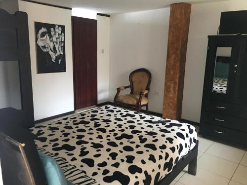 This photo about The Backpacker Hostal shared on HyHotel.com