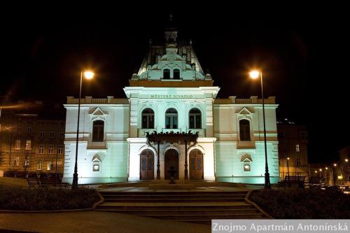 สภาพแวดล้อมโดยรอบ, Apartmán Antonínská (Apartman Antoninska) in ซนอยโม สภาพแวดล้อมโดยรอบ, Apartmán Antonínská (Apartman Antoninska) in ซนอยโม