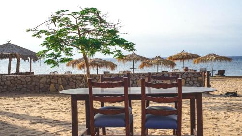 Nuweiba Lodge in Nuweiba Nuweiba Lodge in Nuweiba